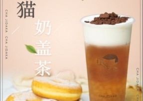 海星tv：熊猫奶盖茶